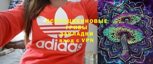 гашиш Ельня