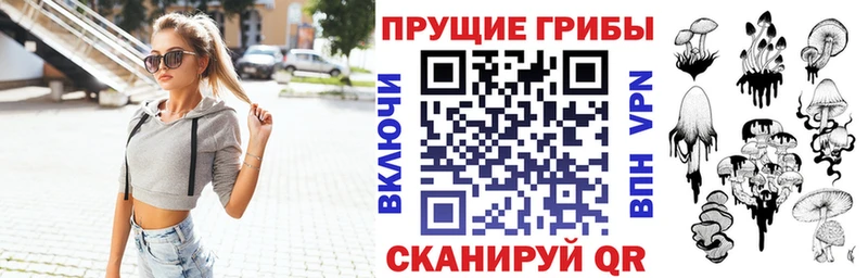 Псилоцибиновые грибы Cubensis Пойковский