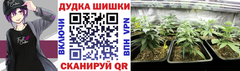 Бошки Шишки план  Пойковский 